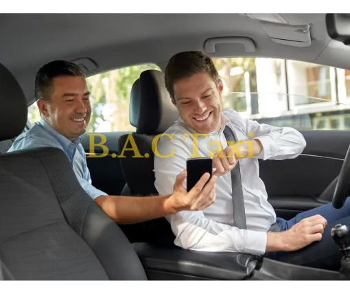 Taxi à Fontainebleau avec BAC Taxi : votre partenaire de confiance, Cesson, B.A.C Taxi