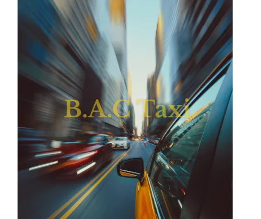 Transports aéroports gares avec BAC Taxi, Cesson, B.A.C Taxi